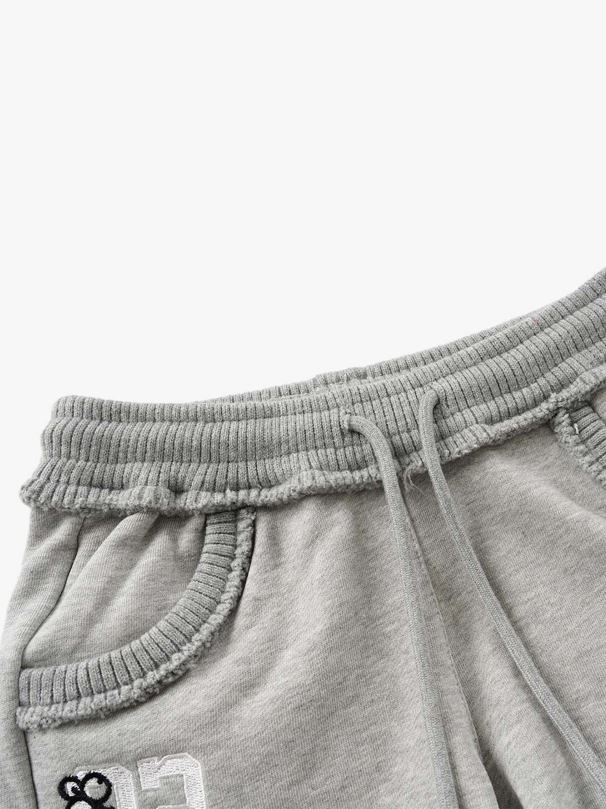 Embroidered Raw Hem Mini Shorts