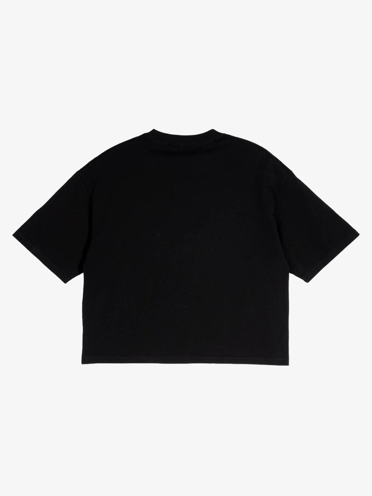Embroidered Guardian Crop Tee
