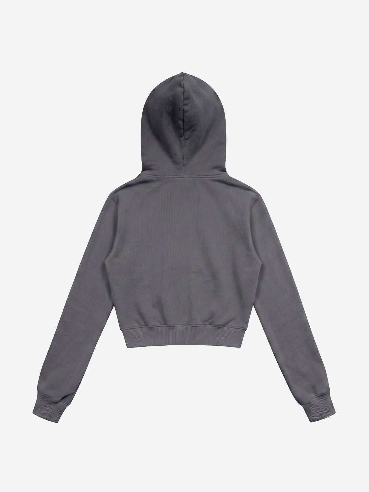 Embroidered Cropped Sweatshirt
